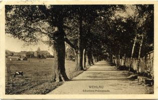 Wehlau, Kreis Wehlau 