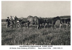 Alt Werder, Kreis Ortelsburg