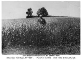 Billen, Kreis Tilsit-Ragnit