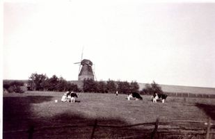 Waldau Kr. Samland, Ort, Kreis Samland