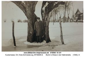 Kuckerneese, Ort, Kreis Elchniederung Hafenstraße