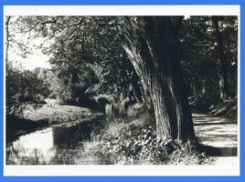 Heiligenbeil, Kreis Heiligenbeil