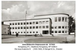 Königsberg (Pr.), Stadtkreis Königsberg Steindammer Wall 47  Königsberg, Hochschulinstitute