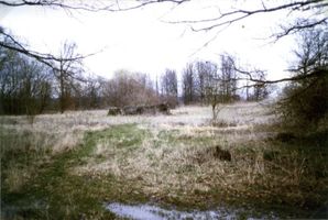 Lisettenfeld, Kreis Bartenstein 