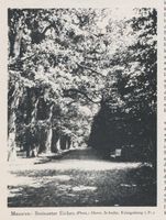 Steinort Kr. Angerburg, Ort, Kreis Angerburg 