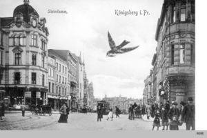 Königsberg (Pr.), Stadtkreis Königsberg Steindamm Königsberg, Steindamm XIII 