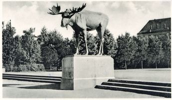 Tilsit, Stadt, Stadtkreis Tilsit Anger Tilsit,Stadt, Das Elchdenkmal auf dem Anger XVII Tilsit, Elch-Standbild