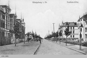 Königsberg (Pr.), Stadtkreis Königsberg  Königsberg, Louisenallee 