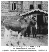 Pait, Kreis Elchniederung