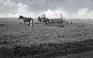 Stangau, Kreis Samland