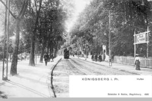 Königsberg (Pr.), Stadtkreis Königsberg Hufenallee Königsberg, Hufen, Park Conradshof 