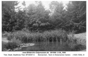 Tilsit, Stadt, Stadtkreis Tilsit Bismarckstraße  Tilsit, Botanischer Garten