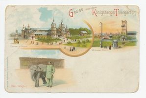 Königsberg (Pr.), Stadtkreis Königsberg  Königsberg (Pr.), Tiergarten, Konzert-Haus, Großer Teich, Reit Elefant Königsberg, Tiergarten