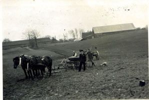 Stangau, Kreis Samland