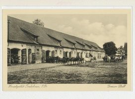 Groß Trakehnen, Kreis Ebenrode