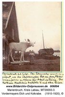 Marienbruch, Kreis Labiau