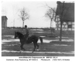 Dublienen, Kreis Rastenburg