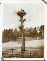 Sorquitten, Kreis Sensburg