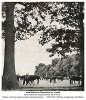 Groß Trakehnen, Kreis Ebenrode