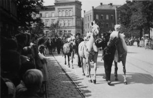 Tilsit, Stadt, Stadtkreis Tilsit  Tilsit, Hohe Str., Umzug am 1. Mai 1933, Pferde Tilsit, Veranstaltungen, Feste