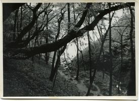 Warnicken, Kreis Samland