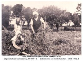 Gilgenfeld, Kreis Elchniederung