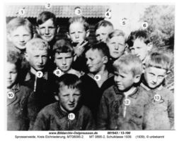 Sprosserweide, Kreis Elchniederung