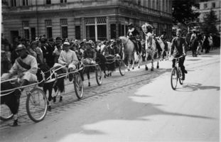 Tilsit, Stadt, Stadtkreis Tilsit  Tilsit, Hohe Str., Umzug am 1. Mai 1933, Trabergruppe mit Ponys Tilsit, Veranstaltungen, Feste