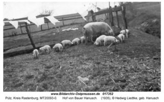 Pülz, Kreis Rastenburg