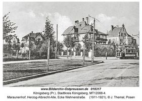 Königsberg (Pr.), Stadtkreis Königsberg Herzog-Albrecht-Allee  Königsberg, Stadtteil Maraunenhof