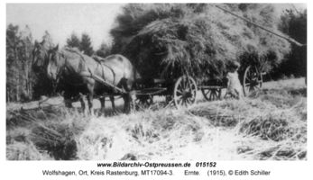 Wolfshagen Kr. Rastenburg, Ort, Kreis Rastenburg