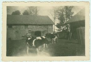 Großastrau, Kreis Gerdauen
