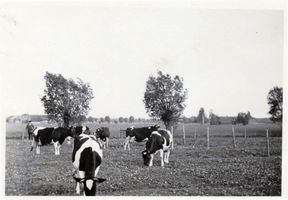 Groß Heinrichsdorf, Ort, Kreis Elchniederung