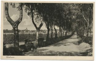 Cadinen, Kreis Elbing
