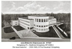 Königsberg (Pr.), Stadtkreis Königsberg Steindammer Wall 47  Königsberg, Hochschulinstitute