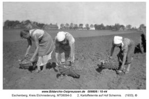 Eschenberg, Kreis Elchniederung