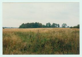 Schneiderin Kr. Gerdauen, Kreis Gerdauen