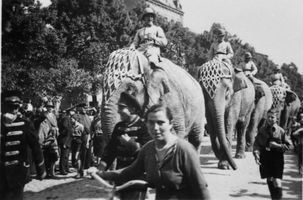 Tilsit, Stadt, Stadtkreis Tilsit  Tilsit, Umzug, 1. Mai 1933, Elefanten Tilsit, Veranstaltungen, Feste